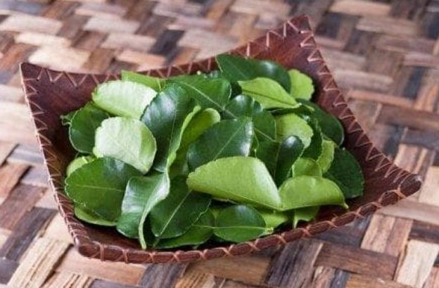 Loại lá ở trong vườn người Việt Nam hay có nhưng nước ngoài bán giá 6 triệu đồng/kg, vừa chữa ho lại mát gan