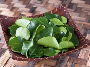 Loại lá ở trong vườn người Việt Nam hay có nhưng nước ngoài bán giá 6 triệu đồng/kg, vừa chữa ho lại mát gan
