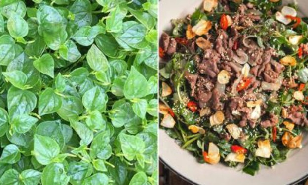 Có 1 loại rau giàu canxi hơn sữa, giá rẻ không lo phun hóa chất