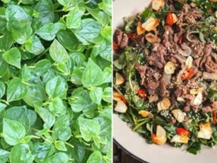 Có 1 loại rau giàu canxi hơn sữa, giá rẻ không lo phun hóa chất