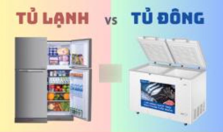 Tủ lạnh và tủ đông có gì khác nhau?