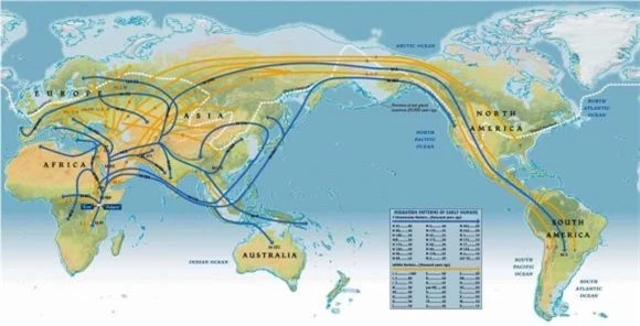 kiến thức, nhân loại, con người, loài người, phụ nữ, con người đầu tiên