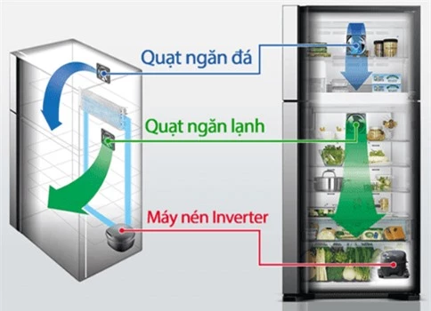 Tủ lạnh và tủ đông có gì khác nhau? 3