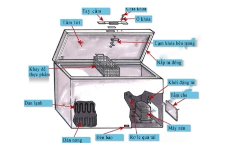 Tủ lạnh và tủ đông có gì khác nhau? 1
