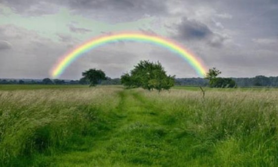 Cầu vồng được hình thành như thế nào?