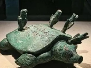 Người đàn ông bắt được 'rùa lạ' khi đang câu cá, sau khi chuyên gia giám định: Anh câu được hơn 6 nghìn tỷ