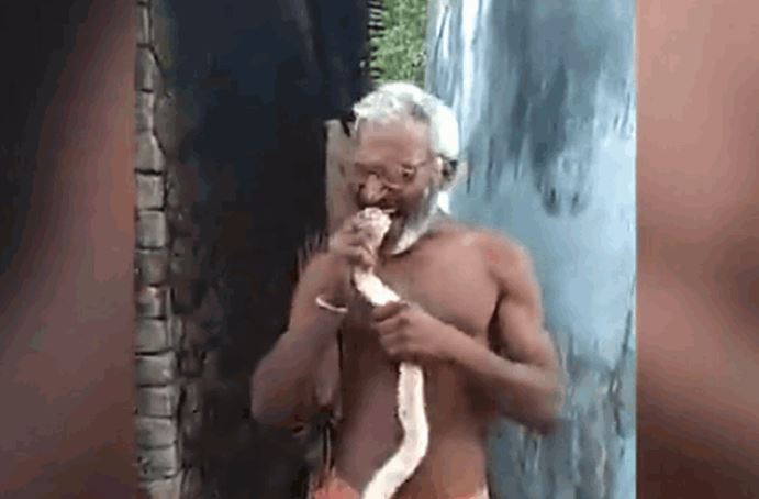 CLIP: Người đàn ông dùng miệng ngậm rắn hổ mang nhưng cái kết mới gây chú ý