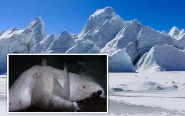 Phát hiện mới ở Nam Cực: Các nhà khoa học phát hiện 'vật thể khổng lồ' bí ẩn có đường kính 56 km!