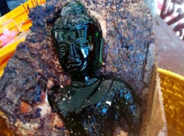 Phát hiện tượng Phật ngọc hơn 100 tuổi bên trong thân cây xoài