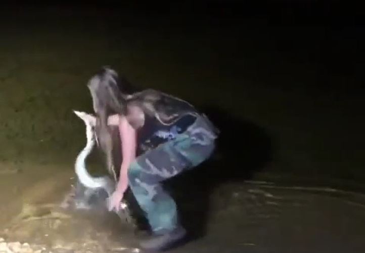 CLIP: Gái xinh dùng tay không bắt trăn và cái kết gây chú ý