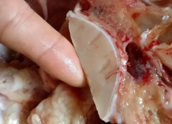 Vốn chỉ là một mảnh xương cá, nhưng sau khi 'chế biến' có thể bán được hàng chục triệu đồng, nhiều người không biết đem bỏ đi