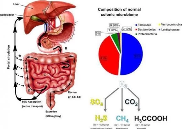 xác chết sinh con, xì hơi, sinh con, chuyện lạ