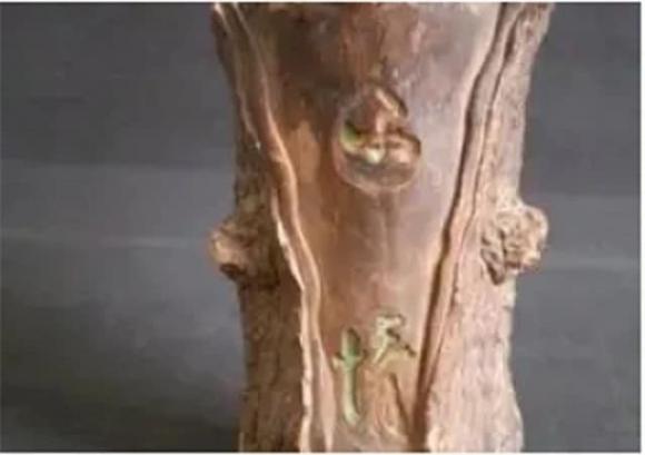 Bà cụ nhặt được khúc gỗ lạ xấu xí đem về vứt xó nhà nào ngờ 'vớ' được cổ vật có giá trị lớn