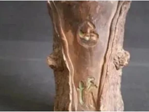 Bà cụ nhặt được khúc gỗ lạ xấu xí đem về vứt xó nhà nào ngờ 'vớ' được cổ vật có giá trị lớn