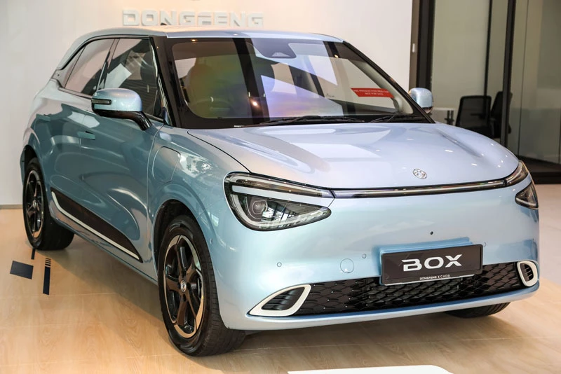 Dongfeng Box 2024.