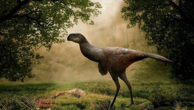 Sinh vật lạ 110 triệu tuổi lộ diện ở Nội Mông - Trung Quốc