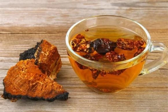 Nấm chaga, công dụng của nấm chaga, giá bán nấm chaga