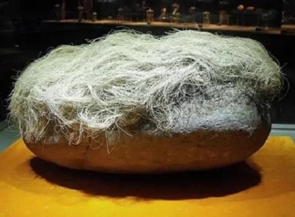 Người đàn ông nhặt được hòn đá 'mọc tóc' trắng, sau khi các chuyên gia giám định xong liền gọi cảnh sát phong tỏa cả ngôi làng