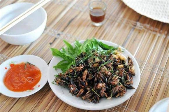 dế cơm, con dế, đặc sản 