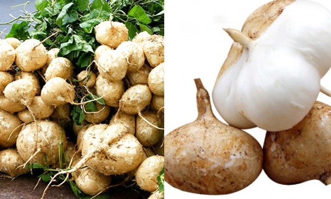 Việt Nam có loại củ giá rẻ bất ngờ: 'Vũ khí' của phái đẹp, chống cảm cúm, giảm cholesterol hiệu quả