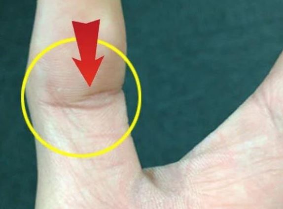 Người sở hữu vân tay này báo hiệu cuộc đời nhiều may mắn, an nhiên tự tại, làm gì cũng thuận