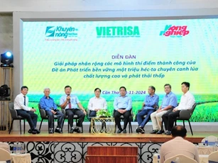 Không thiếu vốn để thực hiện đề án 1 triệu hecta lúa chất lượng cao, phát thải thấp