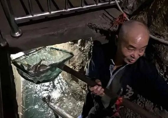 Nằm mơ thấy kho báu dưới nhà, người đàn ông quyết đào lên không ngờ tìm thấy sông cá ngầm quý hiếm 