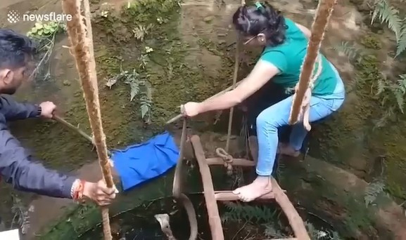 CLIP: Người phụ nữ can đảm trèo xuống giếng giải cứu rắn hổ mang cực độc