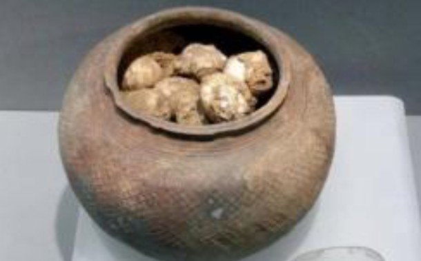 Có nhiều điều kỳ lạ trong ngôi mộ cổ, tại sao lại xuất hiện những quả trứng? Chuyên gia: Không bao giờ chạm vào