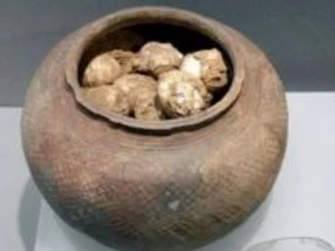 Có nhiều điều kỳ lạ trong ngôi mộ cổ, tại sao lại xuất hiện những quả trứng? Chuyên gia: Không bao giờ chạm vào