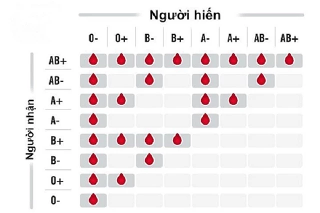 nhom-mau-1