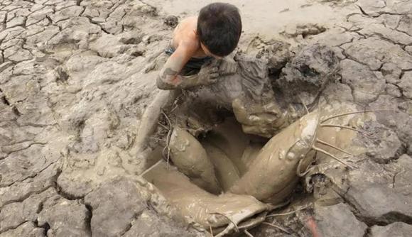 Có loài cá 'thần kỳ' ở châu Phi, có thể 'ngủ' suốt 5 năm ở đất cạn mà không ăn uống gì vẫn sống