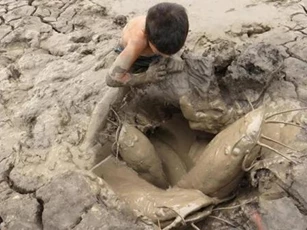 Có loài cá 'thần kỳ' ở châu Phi, có thể 'ngủ' suốt 5 năm ở đất cạn mà không ăn uống gì vẫn sống