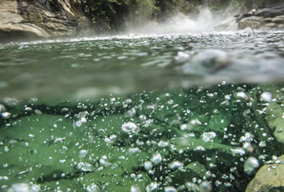 Điều kỳ lạ về 'dòng sông sôi' có thể luộc chín tất cả sinh vật tại rừng Amazon