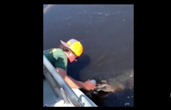 CLIP: Người đàn ông liều lĩnh dùng cá sấu mở bia với cái kết bất ngờ