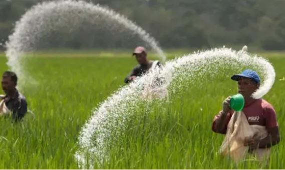 Chốt áp thuế VAT 5% đối với phân bón