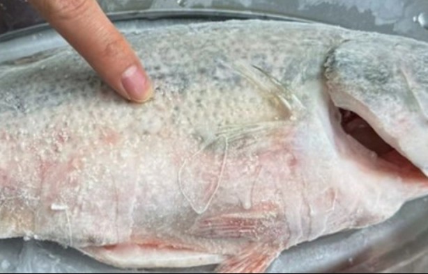 Rã đông cá, không bao giờ ngâm trong nước, chủ sạp dạy tôi một mẹo, rã đông trong 5 phút, nó tươi như cá sống!