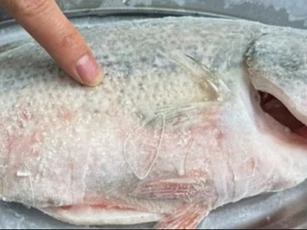 Rã đông cá, không bao giờ ngâm trong nước, chủ sạp dạy tôi một mẹo, rã đông trong 5 phút, nó tươi như cá sống!