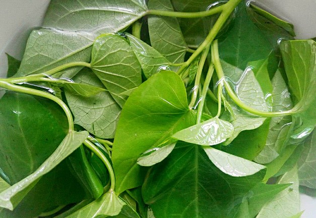 Loại rau là "đặc sản của người trường thọ" và chống lão hóa: Dùng làm 3 món vừa ngon lại dễ chế biến