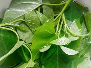 Loại rau là "đặc sản của người trường thọ" và chống lão hóa: Dùng làm 3 món vừa ngon lại dễ chế biến