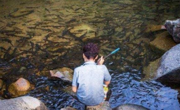 Chỉ vì truyền thuyết khiến cá ở dòng sông này không ai dám ăn tạo nên một khung cảnh đầy ấn tượng