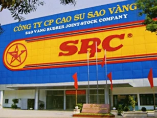 Cao su Sao Vàng SRC bị xử phạt và truy thu thuế gần 1,4 tỷ đồng