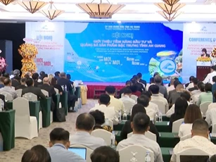 An Giang nổi bật với tiềm năng thu hút đầu tư