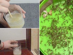 Trộn bột giặt với lon bia uống dở để góc nhà: Muỗi nhiều mấy cũng bị diệt sạch bách