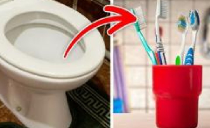 'Đặt bốn thứ vào trong nhà tắm, con cháu không phú quý', là ám chỉ 4 thứ nào? Không phải là vô nghĩa, xem nếu bạn có nó ở nhà