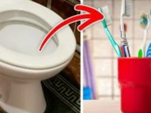 'Đặt bốn thứ vào trong nhà tắm, con cháu không phú quý', là ám chỉ 4 thứ nào? Không phải là vô nghĩa, xem nếu bạn có nó ở nhà