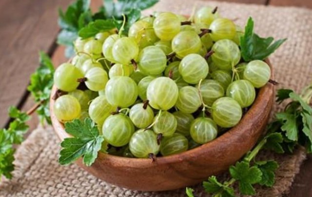 Loại quả lạ cực tốt cho phụ nữ mang thai, dù nhỏ nhưng 'có võ', giá đắt và khan hiếm