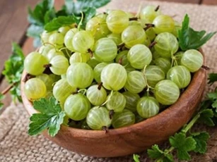 Loại quả lạ cực tốt cho phụ nữ mang thai, dù nhỏ nhưng 'có võ', giá đắt và khan hiếm