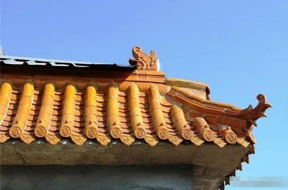 Vì sao chim không dám ị vào Tử Cấm Thành?