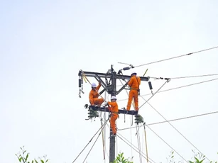 Công ty Điện lực Nghệ An đảm bảo cung ứng điện sản xuất, sinh hoạt